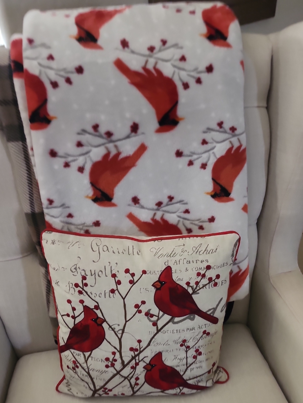 Cardinal Throw Blanket and Accent Pillow Set - Red/White
